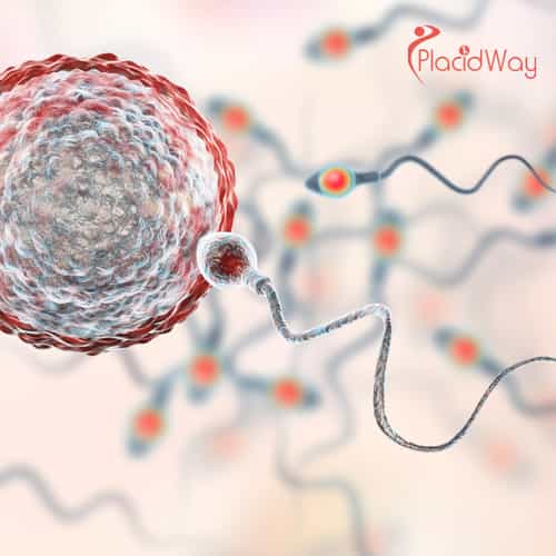 5 Benefits of ICSI in Dubai, UAE